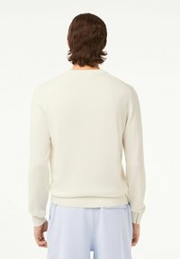 Hellbeiger Pullover mit langen Ärmeln und rundem Ausschnitt. Rippbündchen an den Ärmeln und am Saum. Glatte Textur und minimalistisches Design.
