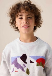 Sweatshirt gris clair avec une broderie colorée et texturée représentant un paysage avec des arbres, des montagnes et un soleil, au design à col rond.