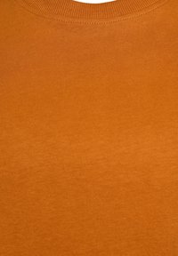 Zizzi MIT RUNDHALSAUSSCHNITT - Jednoduché tričko - pumpkin spice