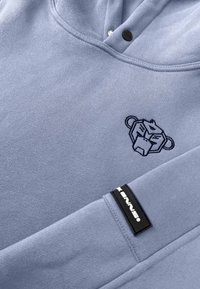 Lichtblauwe hoodie van een katoenmix, met een gestikt leeuwlogo op de borst en een zwart label op de mouw.