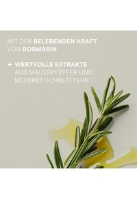 Thumbnail-Bild 13