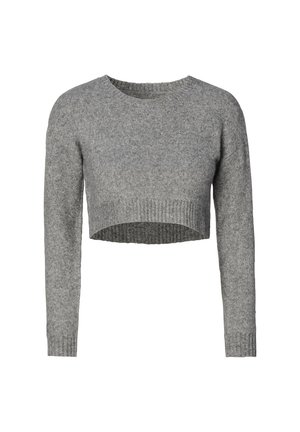 Grijs cropped sweater van zacht breiwerk, met lange mouwen en eenribbelzoom. Eenvoudige ronde halslijn en een gestructureerde afwerking.