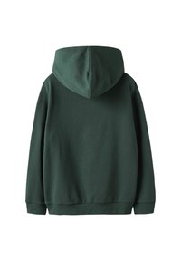 Sweatshirt à capuche verte avec une texture douce, des manches longues et une coupe décontractée. Il dispose d'une poche kangourou et de poignets côtelés au niveau de l'ourlet.