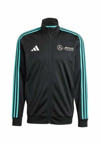 MERCEDES - AMG PETRONAS FORMULA ONE TEAM DNA TRACK MEN - Trainingsvest - black   white