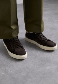 BECK - Baskets basses - brown