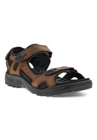 ECCO OFFROAD - Vandringssandaler - brown