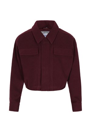 Gekürzte kastanienbraune Jacke aus strukturiertem Stoff mit spitzem Kragen, vorderem Knopfverschluss und zwei Brusttaschen.