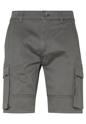 Only & Sons ONSCAM STAGE - Shorts - grey