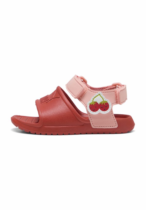 DIVECAT INJEX - Lauflernschuh