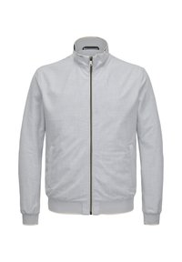 Hellgraue Bomberjacke aus strukturiertem Stoff, mit hohem Kragen, Reißverschluss vorne, zwei seitlichen Taschen und elastischen Bündchen.