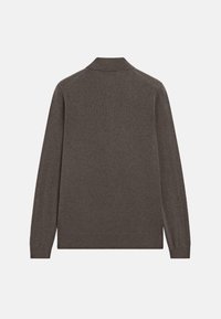 Maglione a maniche lunghe in maglia marrone scuro con un colletto semplice, mostrato da dietro su uno sfondo bianco.