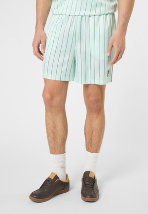 Uomo che indossa pantaloncini a righe sottili azzurri, calzini bianchi alla caviglia e scarpe da ginnastica marroni, in piedi su uno sfondo bianco.