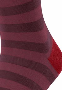 FALKE SENSITIVE MAPPED LINE - Socken - passion