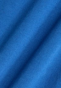 ATHLETICS PREMIUM BACK LOGO - Maglietta a manica lunga - galaxy blue