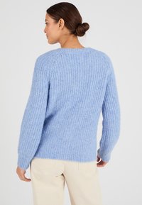 Pullover lavorato a maglia di un azzurro chiaro, con una texture a coste, maniche lunghe e una vestibilità morbida. Il retro presenta un collo rotondo e nessun ornamento.