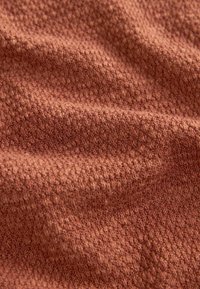 Next SHORT SLEEVE CREW NECK WITH - REGULAR FIT - T-shirts basic - rust brown