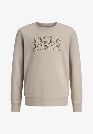 Beežist dressipluus soonikkoes ümara kaelusega, pikkade varrukatega ja tekstuurse "JACK & JONES" logoga, millel on leherelje print. Sile kangapind.