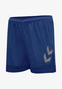 No seleccionado, true blue