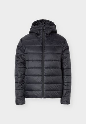 adidas Terrex, TERREX MULTI ESSENTIALS CLIMAWARM INSULATED HOODED JACKET - Chaqueta de invierno - black
