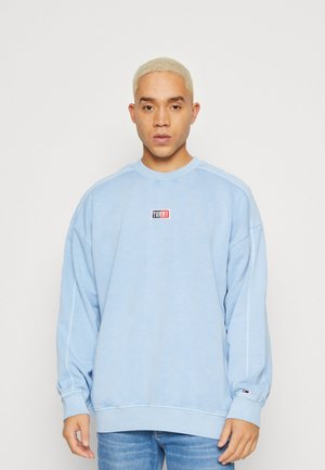 Tommy Jeans SKATER TIMELESS CREW - Bluza