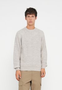 Light gray knitted sweater with a crew neckline, raglan sleeves, and ribbed cuffs and hem. Smooth texture with a relaxed fit.