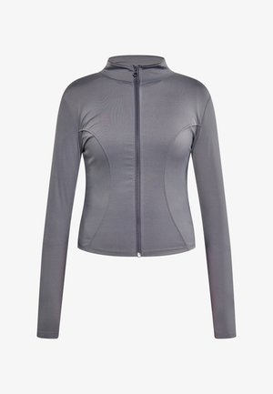 Pilkas ilgomis rankovėmis užtrauktuku užsegamas džemperis, pagamintas iš lygaus, lengvo audinio, su aukštu apykakle ir prigludusia siluetu, turintis siūlių detalizavimą.