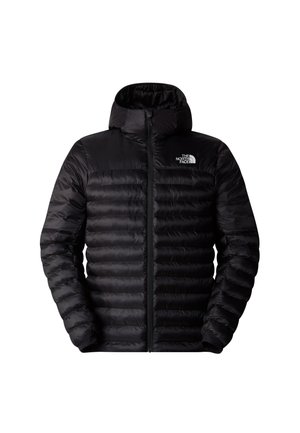 The North Face TERRA PEAK HOODIE - Zimska jakna - tnf black