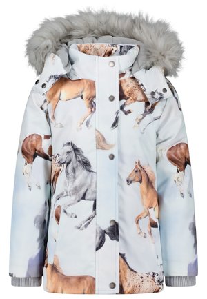 WINTERJACKE  - Winterjas - multi