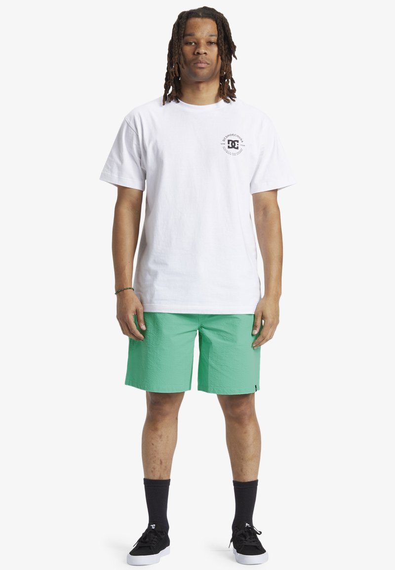 DC Shoes Shorts groen
