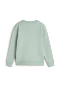 Mintgrüner Sweatshirt mit Rundhalsausschnitt, langen Ärmeln und einem schlichten Design. Verfügt über ein kleines quadratisches Etikett auf der Rückseite. Glatte Textur.