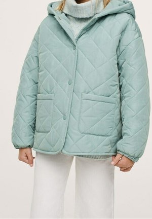 Sweater met rits - light green