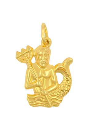 STERNZEICHEN WASSERMANN - Ciondolo - gelbgold-coloured