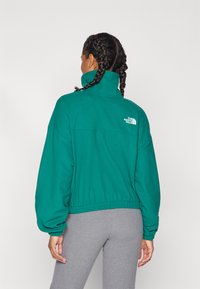 The North Face 100 GLACIER HALF ZIP - Felpa in pile - evergreen
