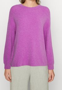 Pullover viola a maniche lunghe con scollatura rotonda, realizzato in un tessuto morbido. Presenta orlo e polsini a costine, abbinato a pantaloni grigi chiari.