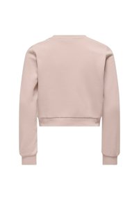 Sweatshirt court rose clair avec des manches longues, un col rond et des poignets côtelés. Tissu lisse et doux sans motifs ni accessoires supplémentaires.