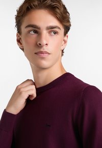 Bordeauxfarbener Pullover mit Rundhalsausschnitt, gerippten Bündchen und kleinem schwarzem Logo auf der Brust. Weiche Textur, figurbetontes Design.