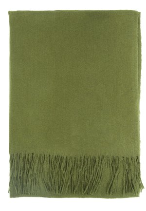 Green woven scarf with fringed edges, featuring a soft texture and solid color, rectangular shape, suitable for warmth and layering.