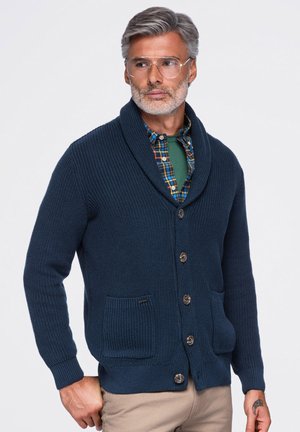 Homme aux cheveux gris et à la barbe portant des lunettes transparentes, un cardigan en maille bleu marine boutonné, une chemise verte et une surchemise à carreaux, regardant vers la gauche.
