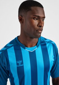 Blå randig tröja med lätt och andningsbart tyg, v-ringning och logotyp på vänster bröst. Accentfärger i mörkare blått.