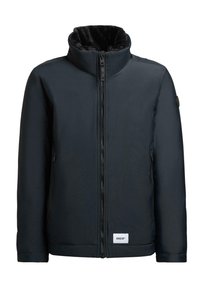 OUTDOOR HUEY - Winter jacket - obrage grey