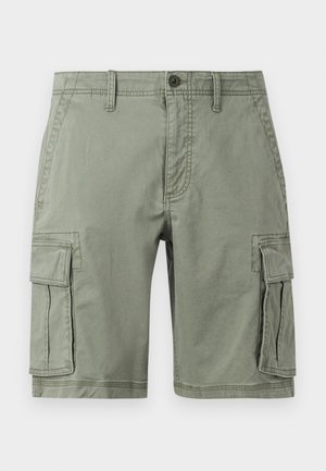 Groene cargoshorts van een katoenmix, met twee zijzakken, knoopsluiting en een rechte snit.