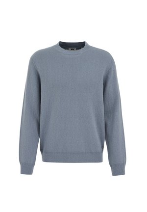 Light blue sweater with a round neckline, long sleeves, and ribbed cuffs and hem. Made from soft fabric with a textured surface.