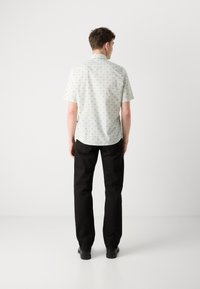 Cămașă cu mâneci scurte, de culoare verde deschis, cu un model delicat, având desene mici negre. Asortată cu pantaloni negri și pantofi.