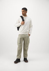 The North Face RAGLAN BOX CREW - Sweatshirt - white dune/muted pine