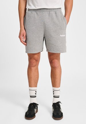 LEGACY 2.0 - Träningsshorts - grey melange
