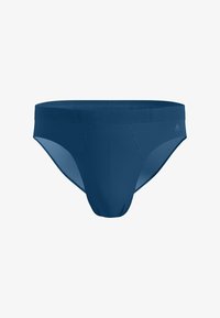 Unselected, blue wing teal