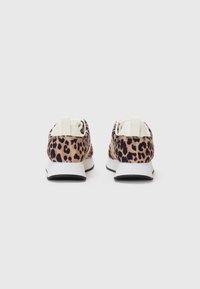 Anna Field Trainers - leo