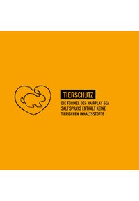 Immagine in miniatura 7