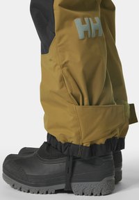 Helly Hansen RIDER - Skipak - lynx