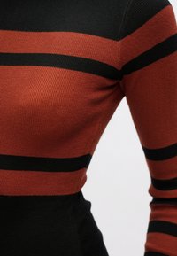 Gros plan sur un pull en maille ajusté orné de rayures horizontales noires et orange rouille sur le torse et les manches, sur un fond neutre.